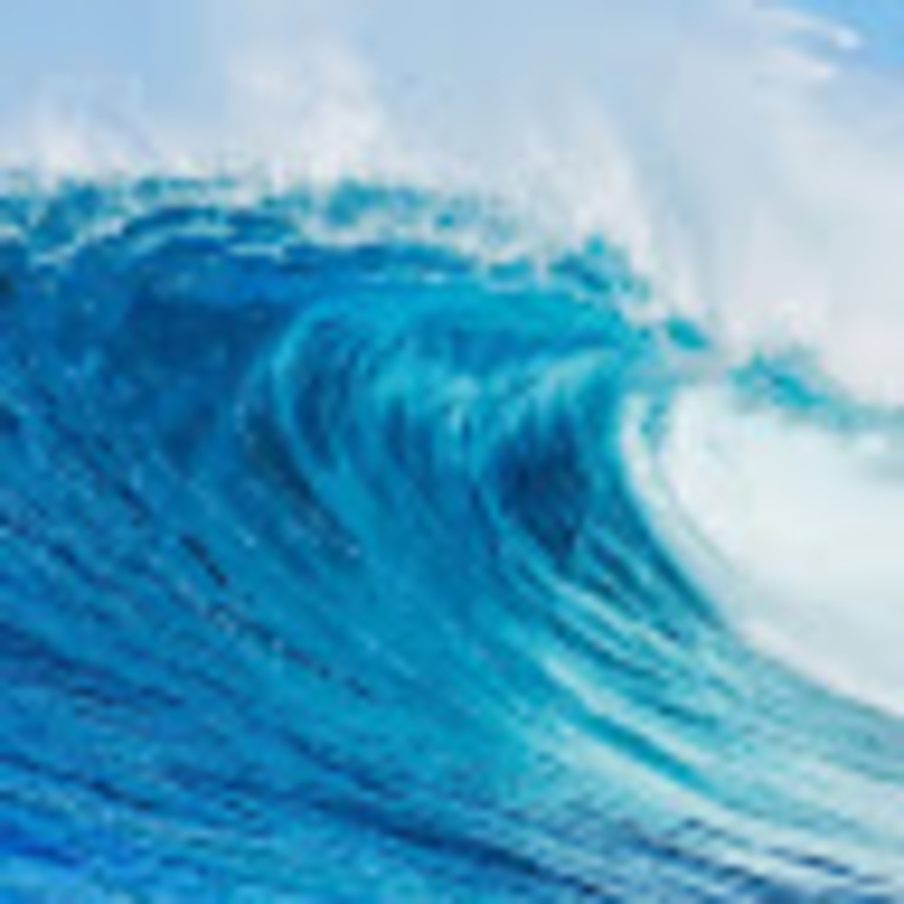 Meet your Posher, Julie